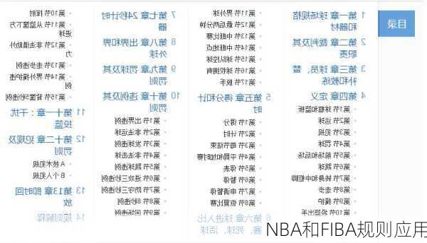 NBA和FIBA规则应用