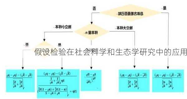 假设检验在社会科学和生态学研究中的应用