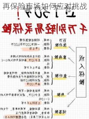 再保险市场如何应对挑战