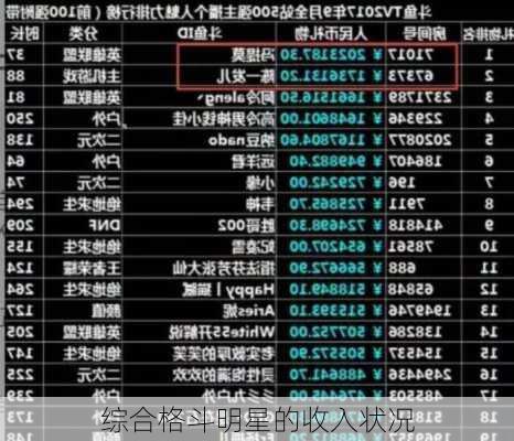 综合格斗明星的收入状况