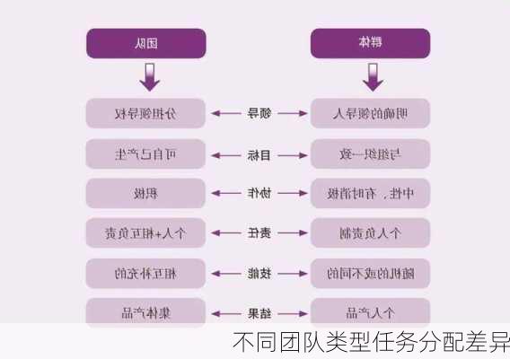 不同团队类型任务分配差异