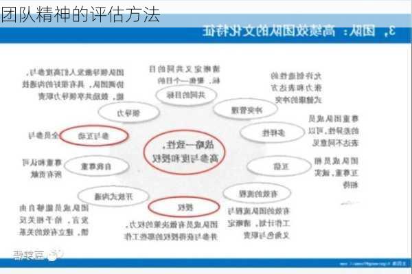 团队精神的评估方法