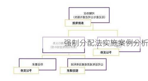 强制分配法实施案例分析