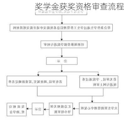 奖学金获奖资格审查流程