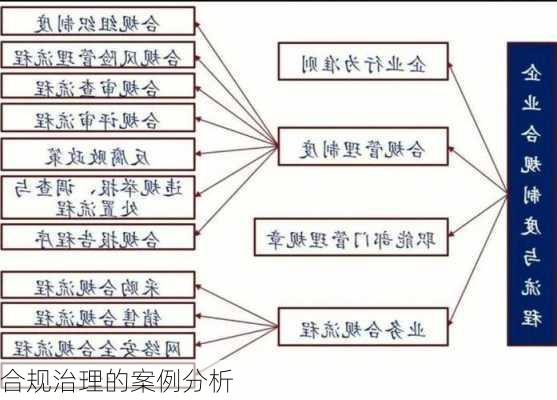 合规治理的案例分析