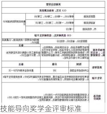 技能导向奖学金评审标准