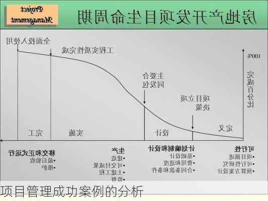 项目管理成功案例的分析