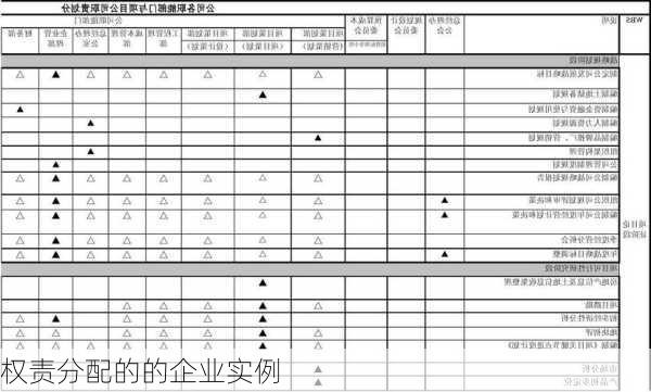 权责分配的的企业实例