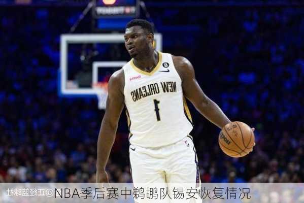 NBA季后赛中鹈鹕队锡安恢复情况