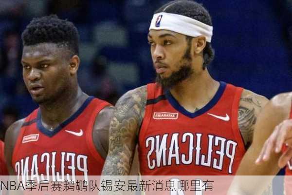 NBA季后赛鹈鹕队锡安最新消息哪里有