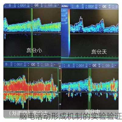 脑电活动形成机制的实验验证