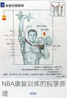 NBA康复训练的科学原理