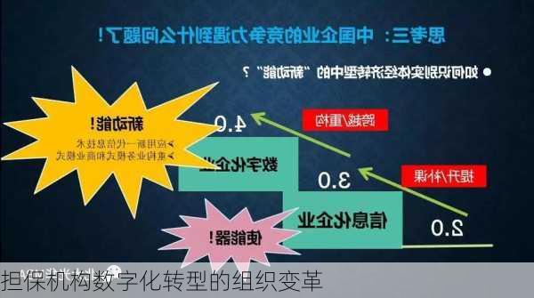 担保机构数字化转型的组织变革