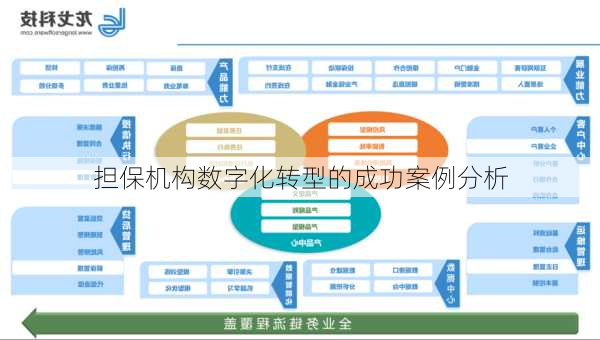 担保机构数字化转型的成功案例分析