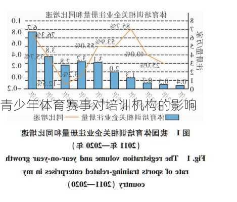 青少年体育赛事对培训机构的影响