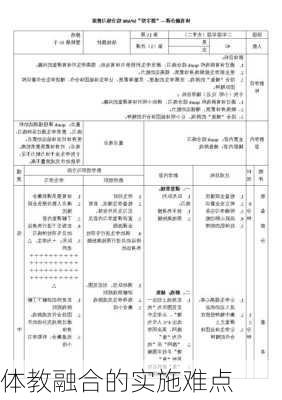 体教融合的实施难点