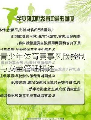 青少年体育赛事风险控制与安全管理概述