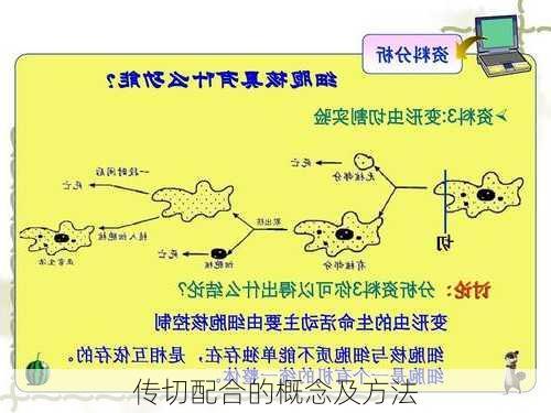 传切配合的概念及方法