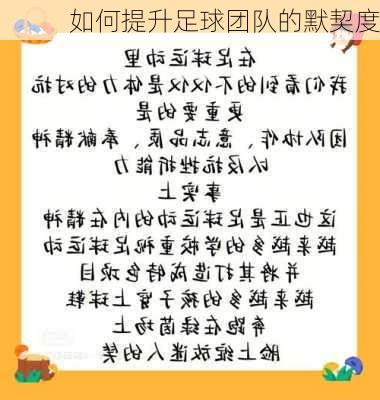 如何提升足球团队的默契度