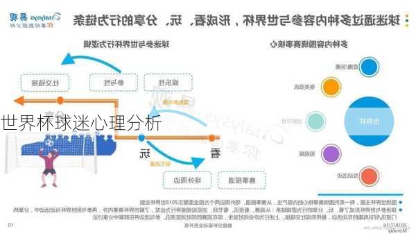 世界杯球迷心理分析