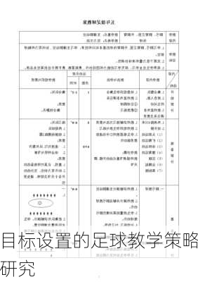 目标设置的足球教学策略研究