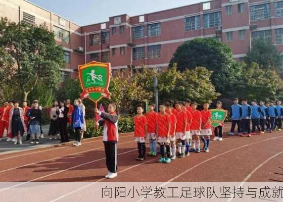 向阳小学教工足球队坚持与成就