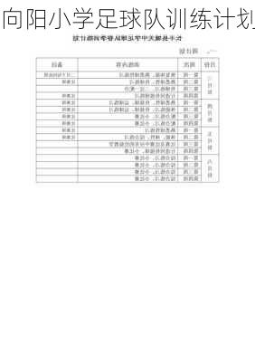 向阳小学足球队训练计划