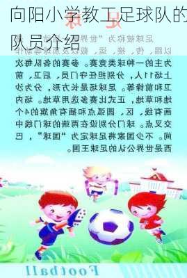 向阳小学教工足球队的队员介绍