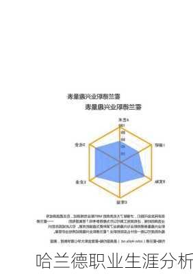 哈兰德职业生涯分析