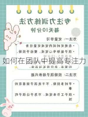 如何在团队中提高专注力