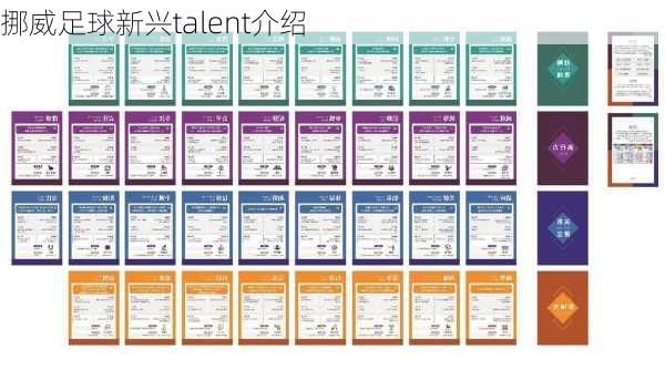 挪威足球新兴talent介绍