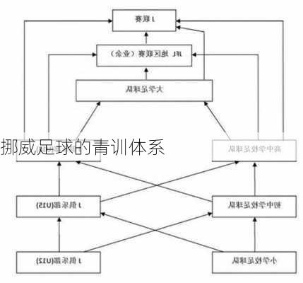 挪威足球的青训体系