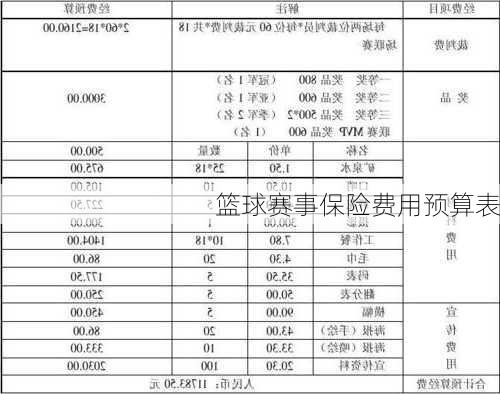 篮球赛事保险费用预算表