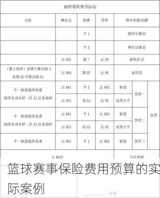 篮球赛事保险费用预算的实际案例