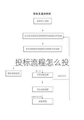 投标流程怎么投