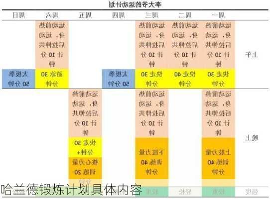 哈兰德锻炼计划具体内容