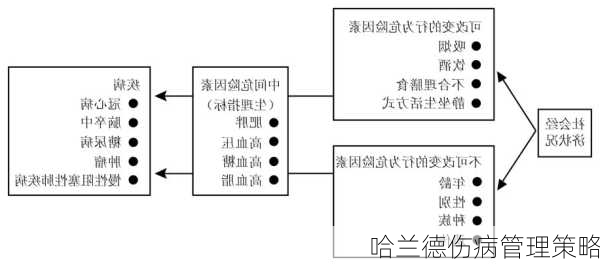 哈兰德伤病管理策略