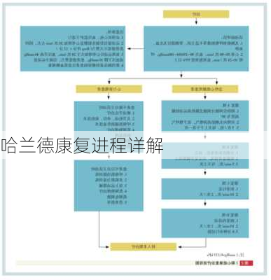 哈兰德康复进程详解