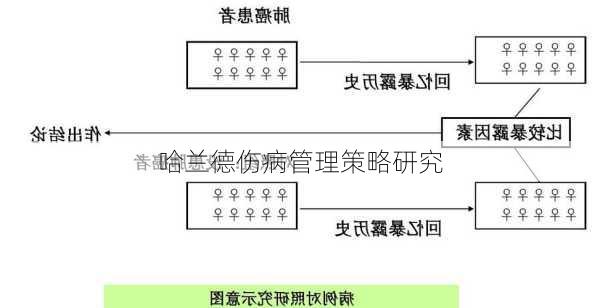 哈兰德伤病管理策略研究