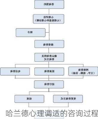 哈兰德心理调适的咨询过程