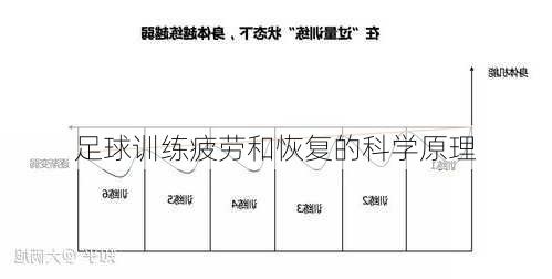 足球训练疲劳和恢复的科学原理