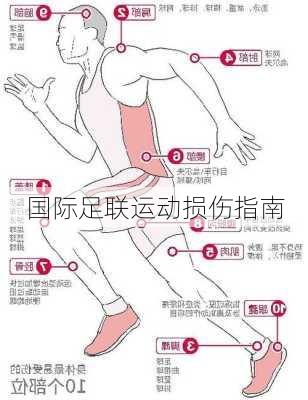 国际足联运动损伤指南