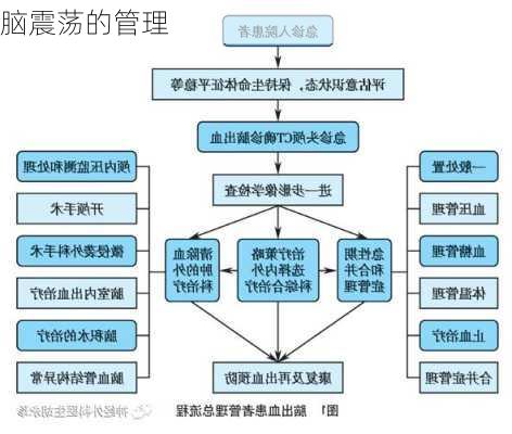 脑震荡的管理