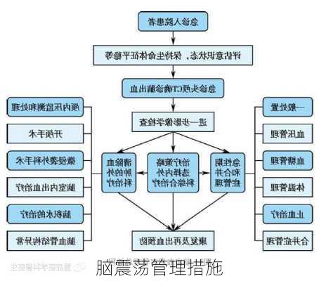 脑震荡管理措施