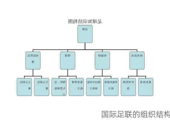 国际足联的组织结构