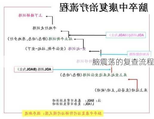 脑震荡的复查流程