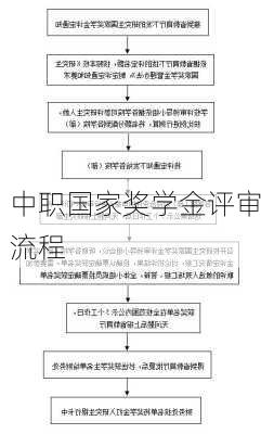 中职国家奖学金评审流程