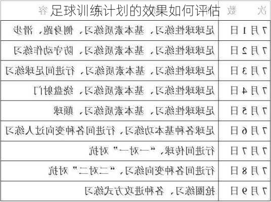 足球训练计划的效果如何评估