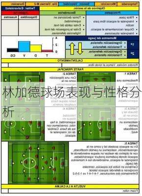 林加德球场表现与性格分析