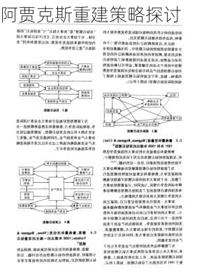 阿贾克斯重建策略探讨